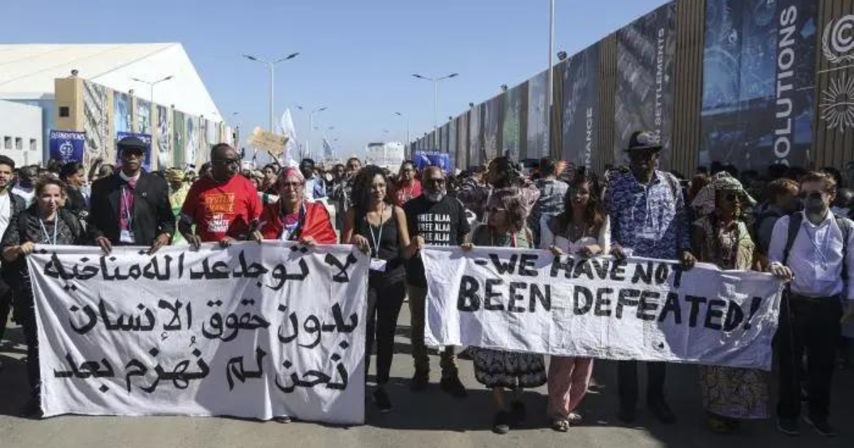 Egypt: Human Rights Snapshot 2024 - Washington Center For Human Rights